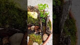 Home Garten! #dekoration #gestalten Mossarrangement, Indoorplant, Mossart, #Moosidee