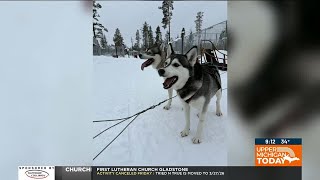 Upper Michigan Today -Finland Experience