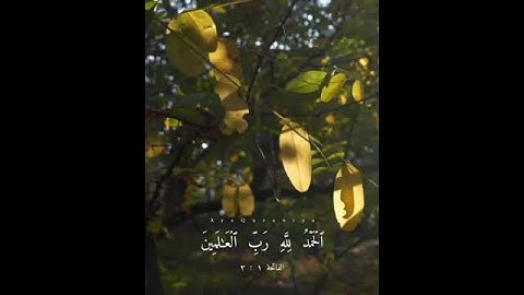 ٱلۡحَمۡدُ لِلَّهِ رَبِّ ٱلۡعَٰلَمِينَ | الفاتحة | قرآن كريم | حالات واتس أب قصيرة