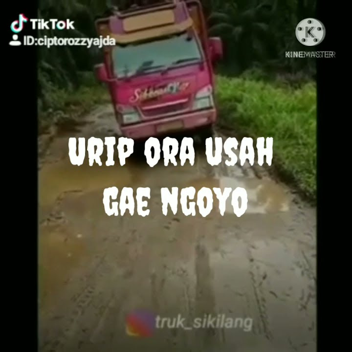 story WA truk terbaru 2021‼️perjuangan sopir dam truk sawit
