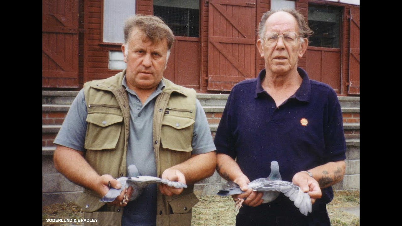 Видео 124: Содерлунд и Брэдли из Саут-Шилдс: ведущие гонщики голубей