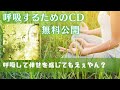 【呼吸するための音楽※無料公開中※】リズミックブリージングCD①全音源公開中です！