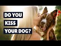 Do You Kiss Your Dog?