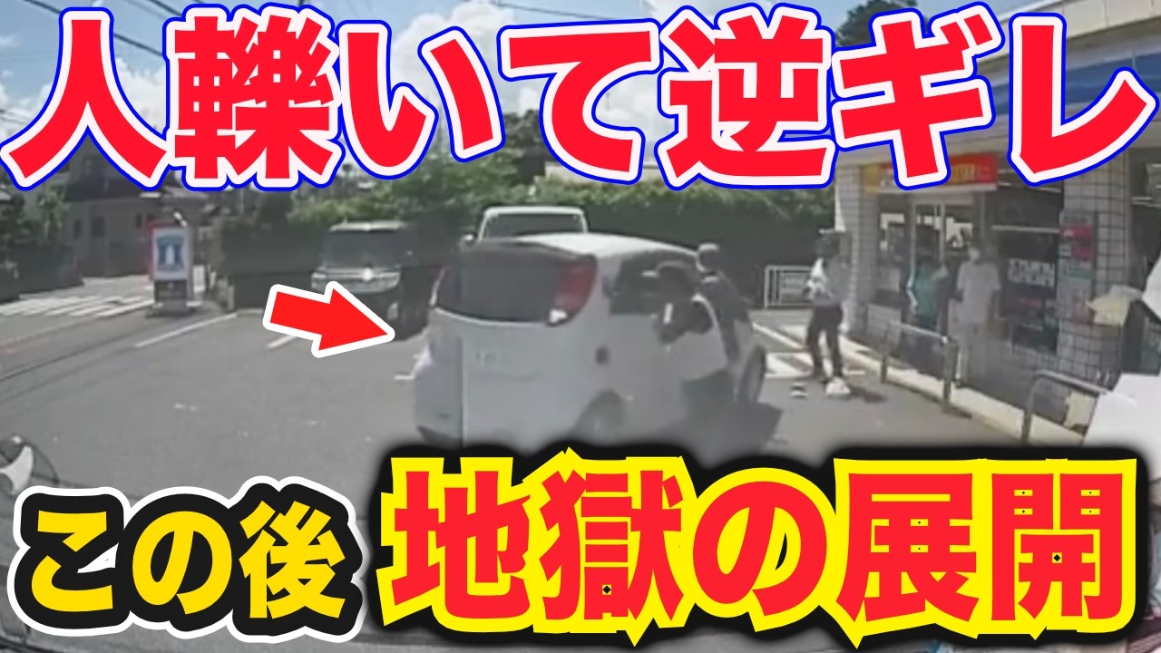 【ドラレコ】ひき逃げのニュータイプが地獄の展開を巻き起こす…煽りクラウンが最高にダサい瞬間ｗ衝撃ドラレコ映像49連発！迷惑運転まとめ【作業用】【交通安全、危険予知トレーニング】