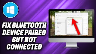 How To Fix Bluetooth Device Paired But Not Connected in Windows 11/10 - Quick Help
