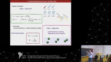 Ignacio Pagonabarraga: Emergent phases and synchronization in active matter