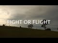 James Haslam: Fight or Flight Documentary Video