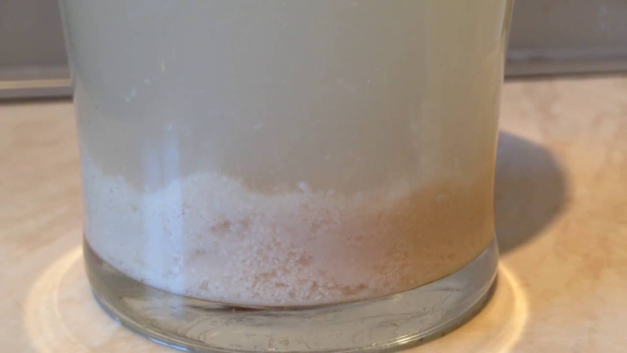 Cider Yeast Starter After 20 Minutes Youtube