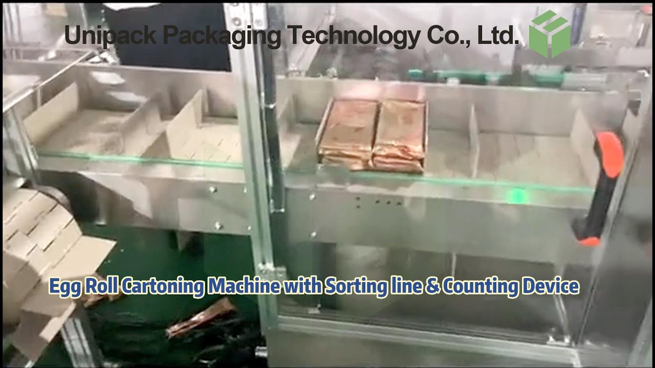 Automatic Egg Roll Cartoning Machine with Infeed Sorting Line