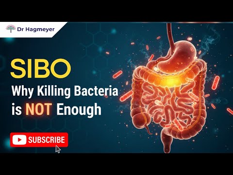 How To Really Get Rid of SIBO for Good! and Why Killing Gut Bacteria is NOT Enough-
