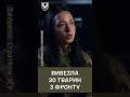 😍Сльози радості! Врятувала ДЕСЯТКИ ТВАРИН з фронту #shorts