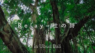 【Special Short Movie】We played 