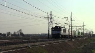東北本線 3071レ EF64-1024+コキ 東鷲宮-栗橋にて