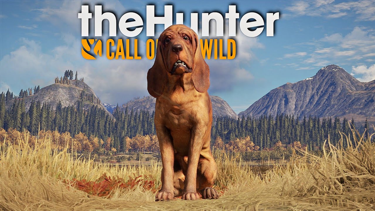 CACEI COM A AJUDA DE UM CÃO FAREJADOR! ( INCRÍVEL ) - THE HUNTER CALL OF THE WILD