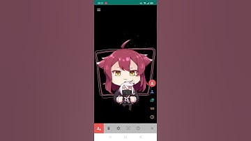 Live2DViewerEX置入範例影片 請置入LPK