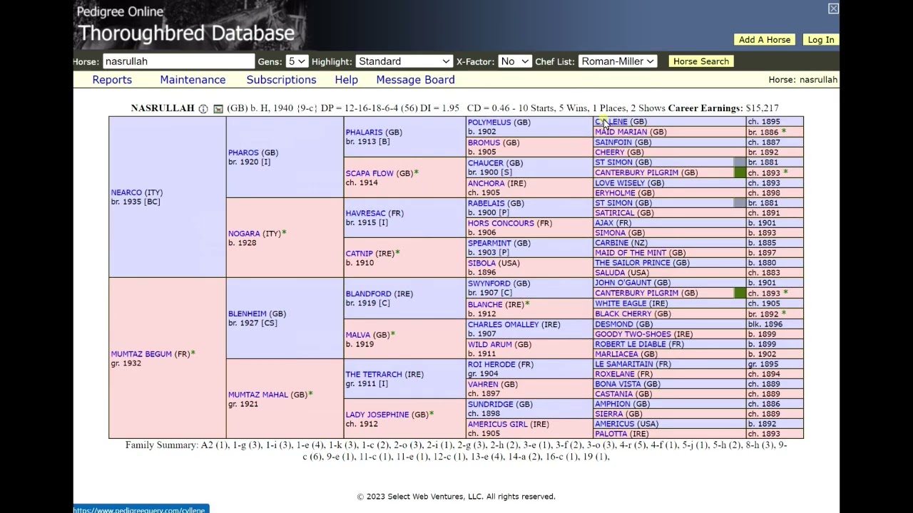 youtube-video-thumbnail