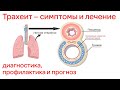 Трахеит – симптомы и лечение у взрослых и детей, диагностика, профилактика и прогноз