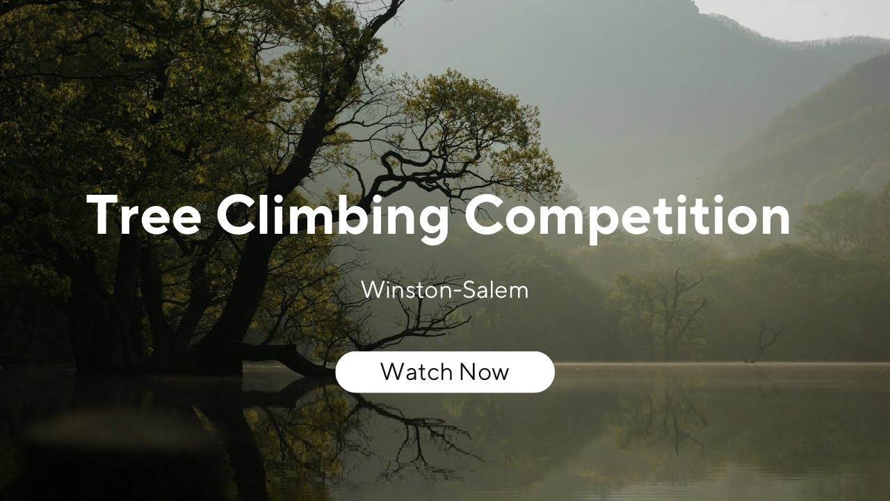 2022 Tree Climbing Championship - YouTube