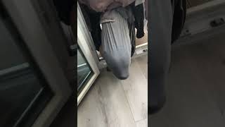 Pitbull Gets Tangled in Bed Sheet Hanging on Drying Rack