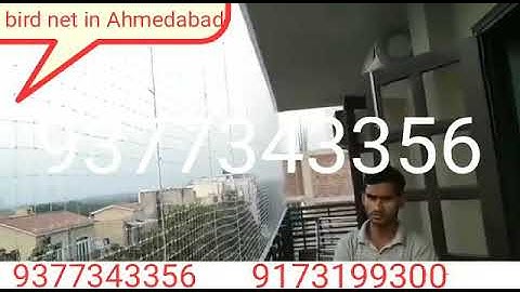 bird net in Ahmedabad