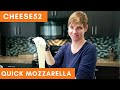 How to Make Mozzarella Cheese | WITH SUCCESS TIPS