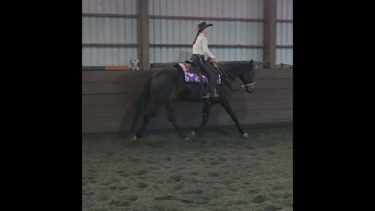 Penny Paradis & Just Call Me Brownie - Youth Ranch Pleasure