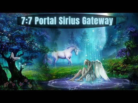 7:7 Portal Sirius Gateway ~ Dolphins and Whales ~ The Wild Card ~ MASSIVE RAINBOW BODY ACTIVATION ?