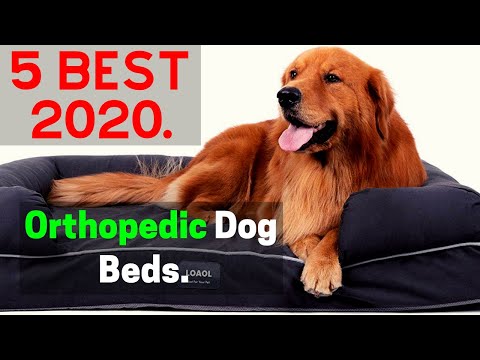 5-best-orthopedic-dog-beds-2020-|-best-memory-foam-dog-bed-amazon.