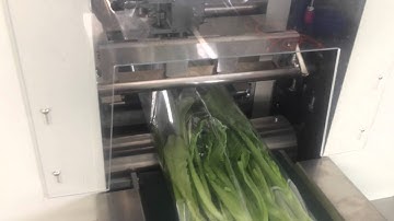 Flow Wrapper, Flow Wrap Machine, Flow Pack Machine, Horizontal Packaging Machine