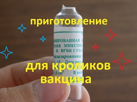 вакцина против миксоматоза и вгбк для кроликов приготовление вакцины