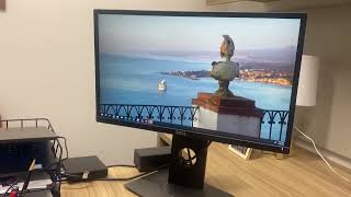 Dell Professional P2317H 23' Screen LED Lit Monitor Review, Great Display Quality And Durable Too!