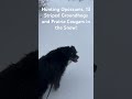 Australian Shepherd Hunts Opossums, 13 Striped Ground Hogs and Prairie Cougars in the snow.