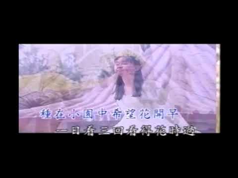 卓依婷《蘭花草》台灣版