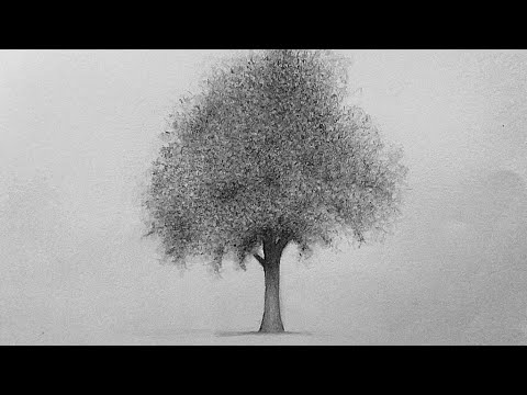 رسم شجرة رسم الأشجار بطريقة سهلة وواقعية