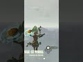 El nuevo Windbomb/BTB de Zelda Tears of the Kingdom