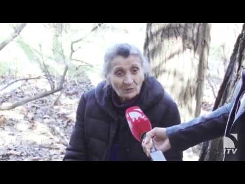 ხალხი იპოდრომის ტერიტორიის დაბრუნებას ითხოვს!