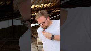 A bird pooped on me - sharpening a pencil #utah #justforfun #enjoylife