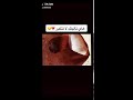 فإن الموت مؤكد لا تعيش حياتك جبان