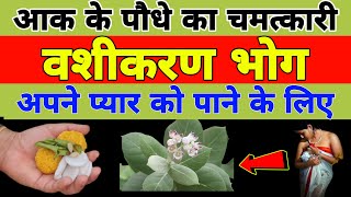 Aak ke Podhe ka Vashikaran Bhog || आक के पौधे का वशीकरण भोग || Sadhana aur samadhan screenshot 3
