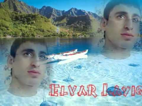 Elvar Laiq Evida askim (2016)