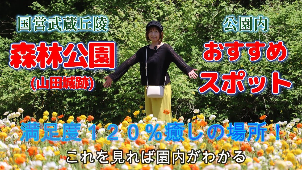 国営武蔵丘陵森林公園】サイクリングでネモフィラ/ポピー/ルピナスの