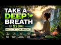 Take a Deep Breath 🌿 | 528Hz Meditation Music #528hz #deepsleep #mindcleanse #meditationmusic
