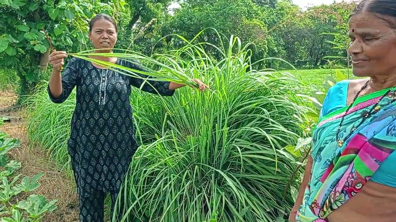 🌿 Kelve Road Vlog | Lemon Grass Magic 🌱 Shot on Realme C55 | Mumbai Nature Vibes