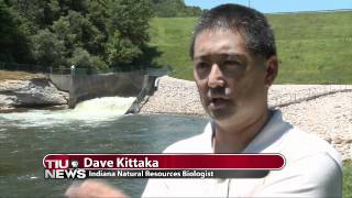 Asian Carp Causing Problems In Local Waters