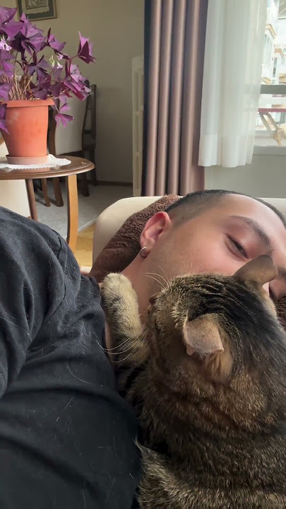 Kucing Posesif Meminta Pacar Pemiliknya untuk Mundur || ViralHog
