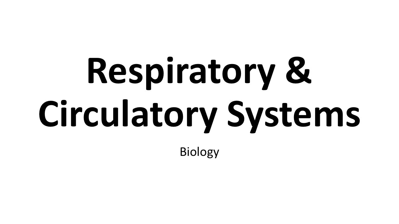 Biology- Respiratory & Circulatory Systems 