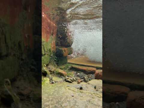 iPhone 12 Pro Max in a water