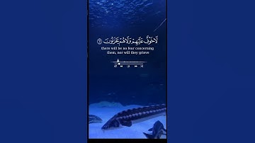 33 ثانية راحة نفسية هدية لك عزيزي القران الكريم #المصحف #القرآن_الكريم #سورة#quran #اكسبلور #تلاوة