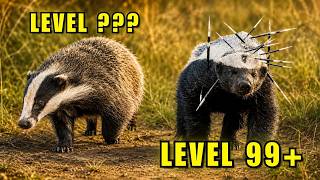 Ranking Badgers From Chill to Completely Unhinged