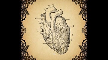 Amnesia A Machine For Pigs First 10 Minutes